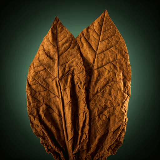 Cigar leaf